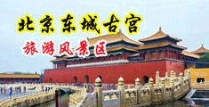女人被插在线观看中国北京-东城古宫旅游风景区